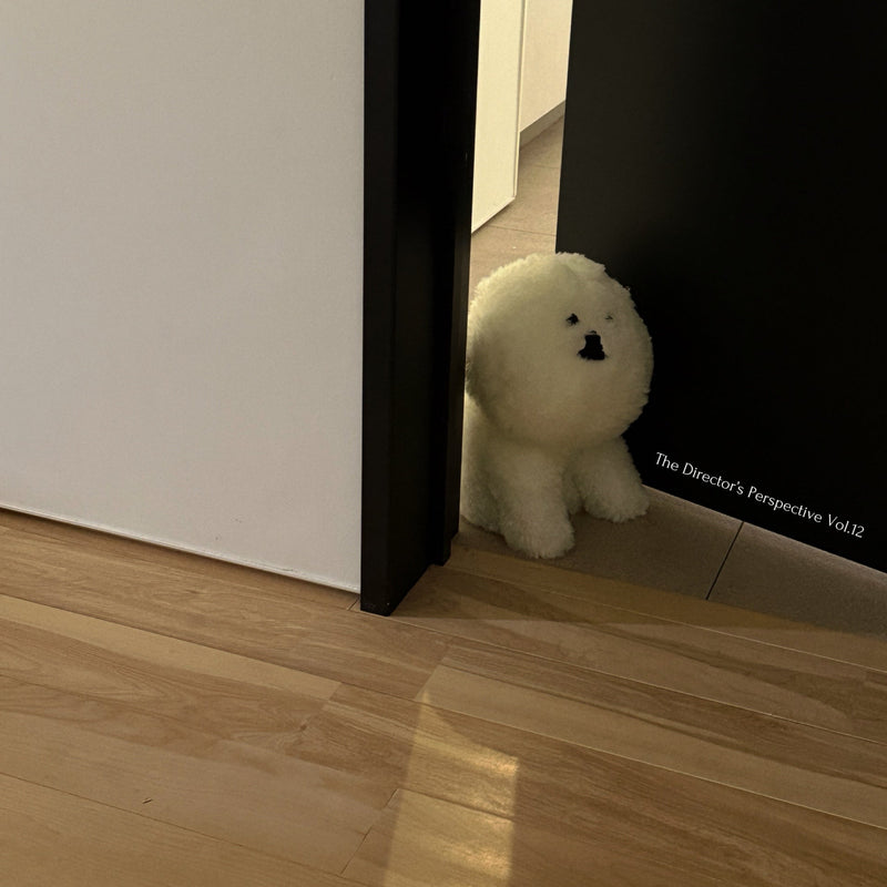 The Director’s Perspective|暮らしの視点