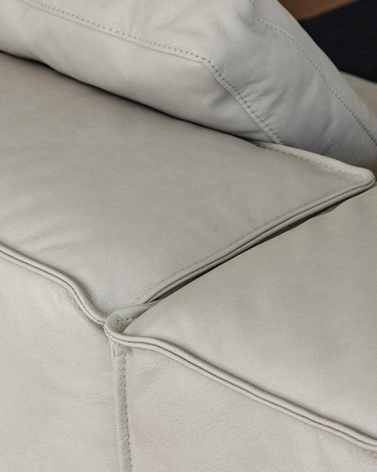 Leve Cushion - Leather 2