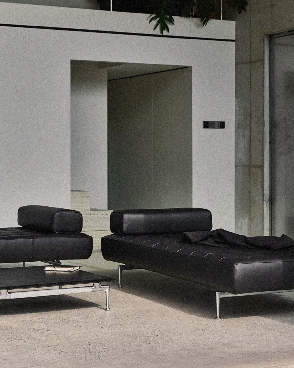 Otium Daybed Sofa - Leather 1