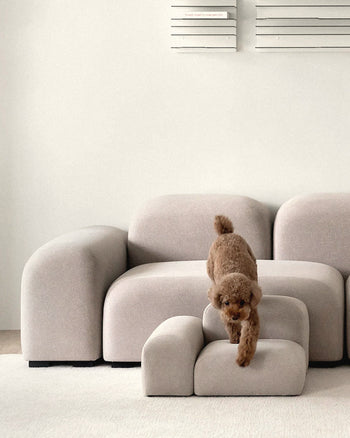 Pebble Pet Step 4
