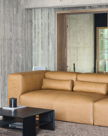 Plume Cushion - Leather 4