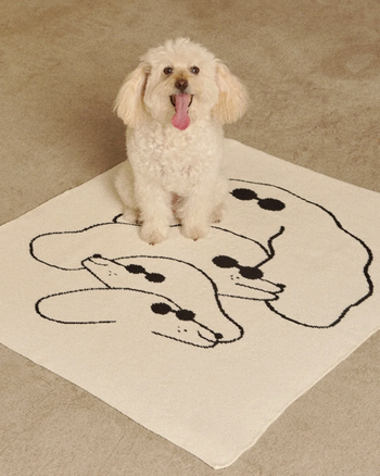 Mini Blanket — Dawgs