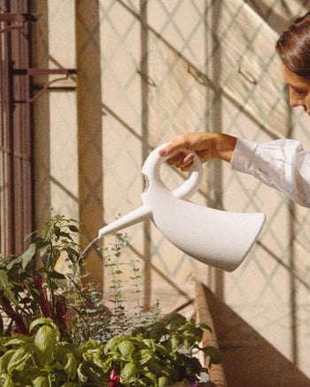 Diva Watering can