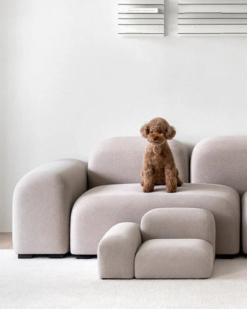 Pebble Pet Step