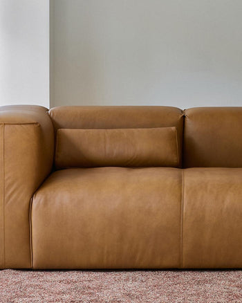 Plume Cushion - Leather